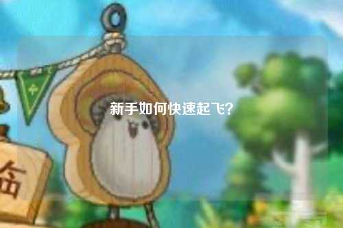 新手如何快速起飛？