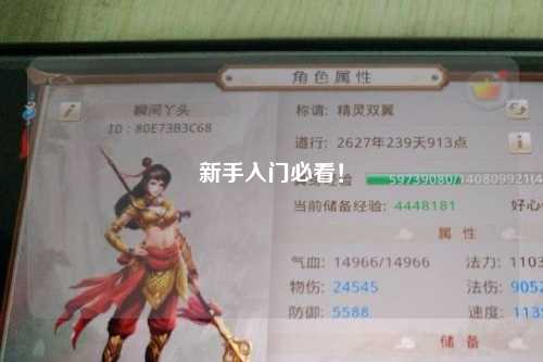 新手入門必看！