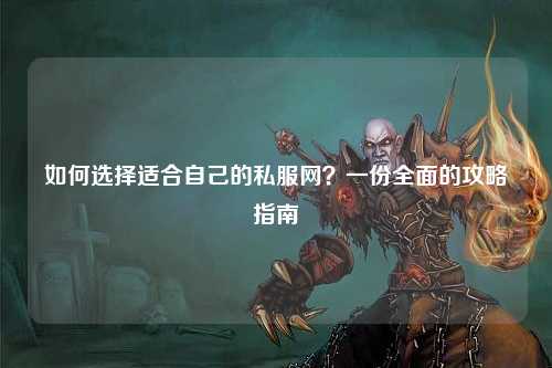 如何選擇適合自己的私服網(wǎng)？一份全面的攻略指南