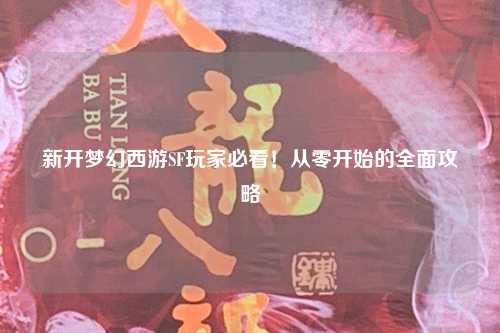 新開(kāi)夢(mèng)幻西游SF玩家必看！從零開(kāi)始的全面攻略