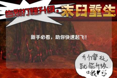 新手必看，助你快速起飛！