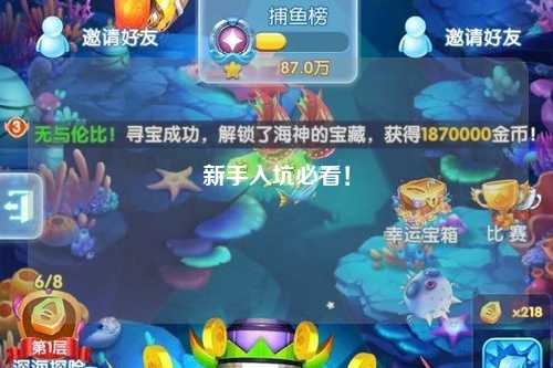 新手入坑必看！