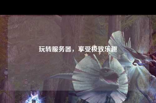 玩轉(zhuǎn)服務(wù)器，享受極致樂(lè)趣