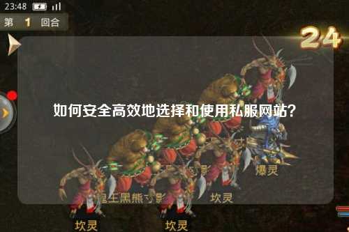 如何安全高效地選擇和使用私服網(wǎng)站？