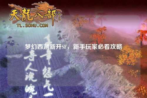 夢(mèng)幻西游新開(kāi)SF，新手玩家必看攻略