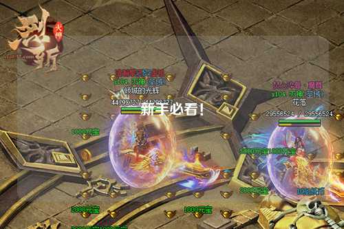 新手必看！
