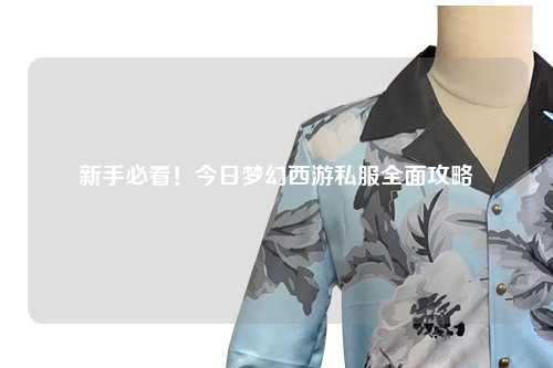 新手必看！今日夢幻西游私服全面攻略