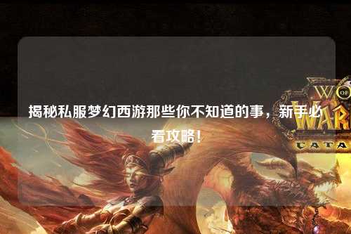 揭秘私服夢幻西游那些你不知道的事，新手必看攻略！
