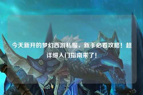 今天新開的夢幻西游私服，新手必看攻略！超詳細(xì)入門指南來了！